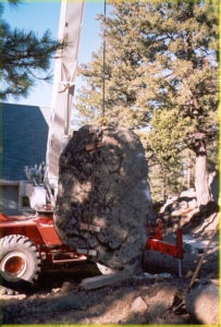 The Boulders that Work as a Retaining Wall