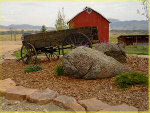 Link the Barn area to the Yard to the Patio Area