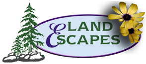 Landscape design project company